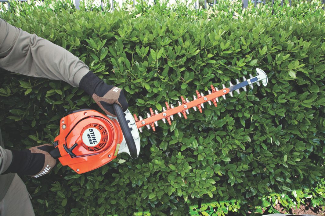 HS 56 Gasoline Hedge Trimmer - Image 2