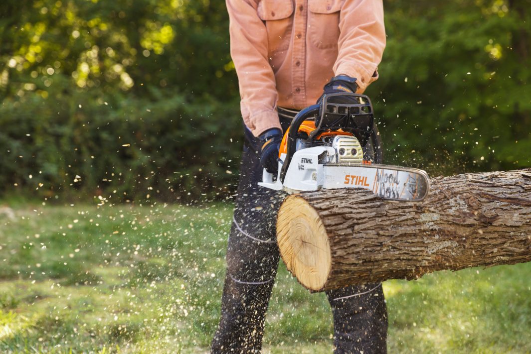 MS 251 Gasoline Chainsaw - Image 3