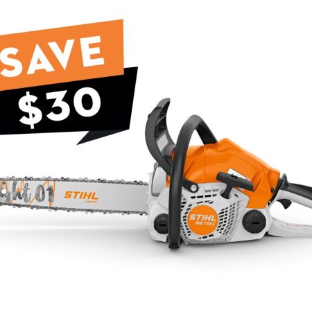 MS 172 Gasoline Chainsaw