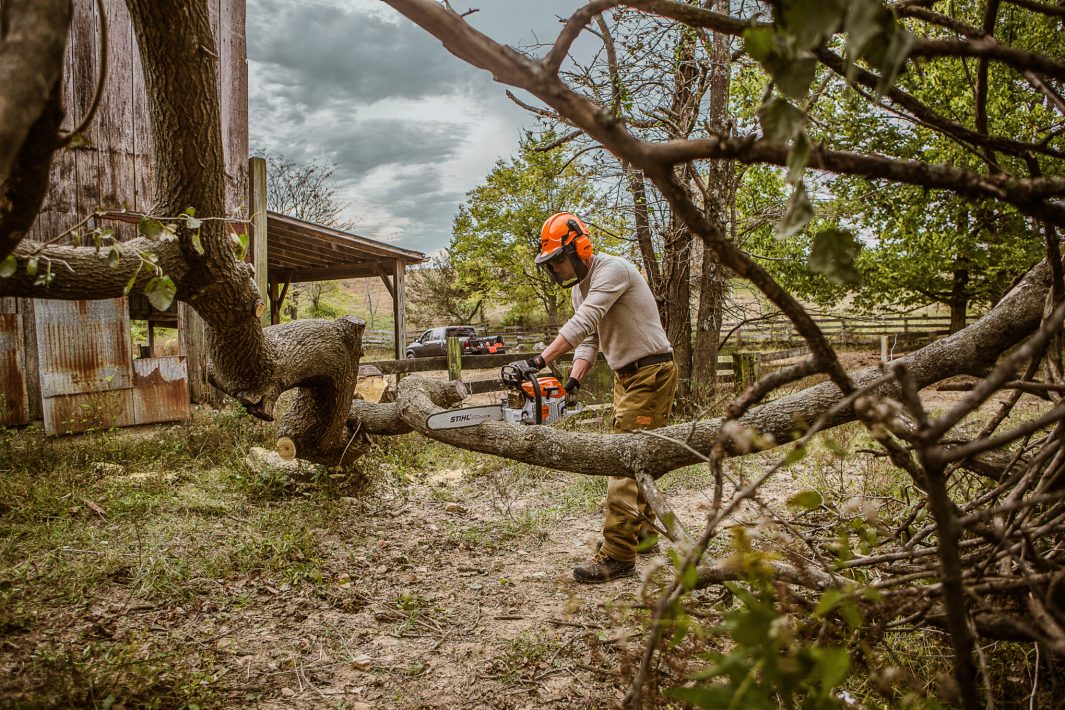 MS 261 Gasoline Chainsaw - Image 3
